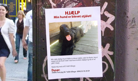 Min hund er blever stjålet!