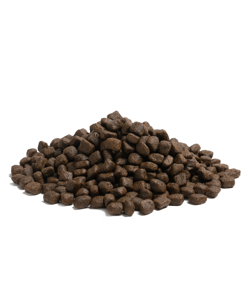 ESSENTIAL NAUTICAL LIVING – Kornfrit luksusfoder med frisk fisk