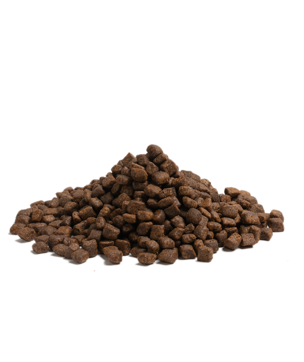 ESSENTIAL HIGHLAND LIVING – Kornfrit hundefoder med smag fra Skotland