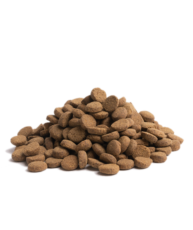 ESSENTIAL OLDER – Kornfrit kvalitetsfoder til seniorhunde