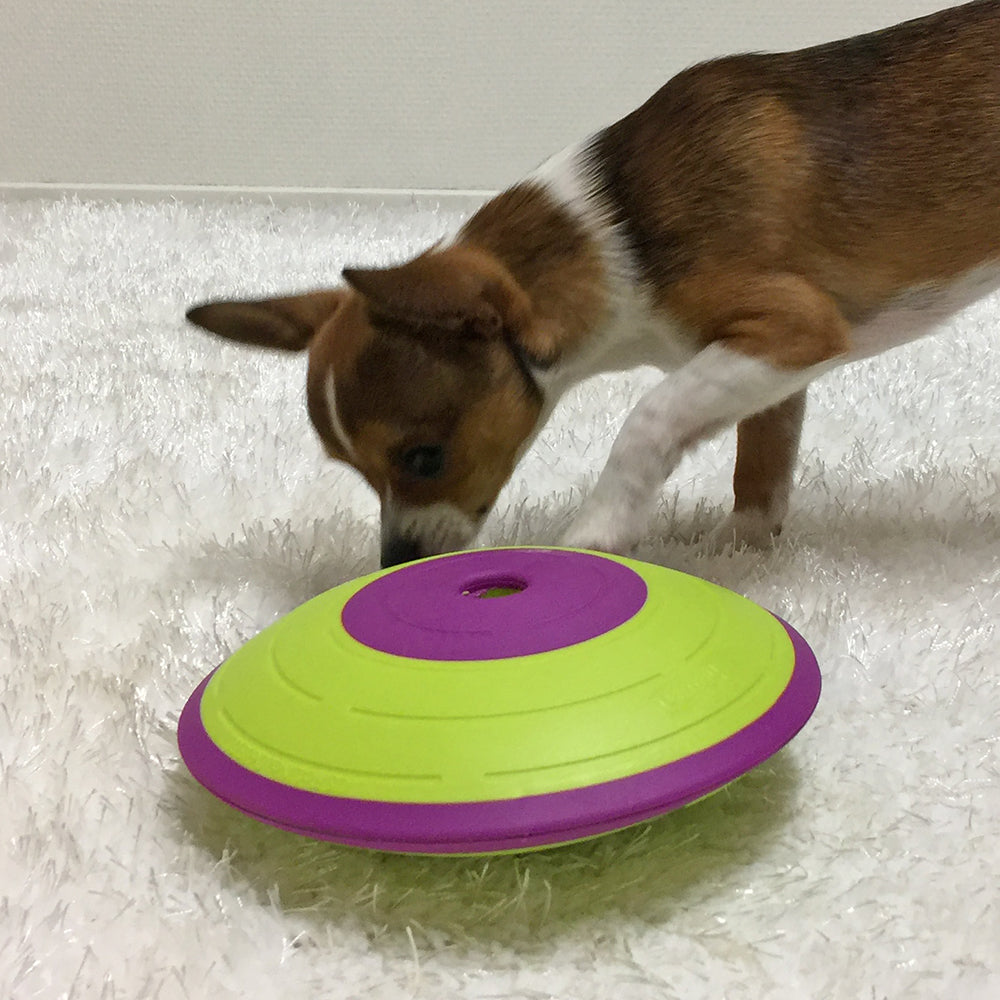 Aktivitetslegetøj  "Dog Treat Maze" naturlig - til hunde SV2