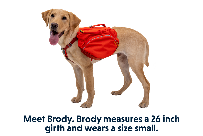 Palisades Pack fra Ruffwear – perfekt til aktive hunde