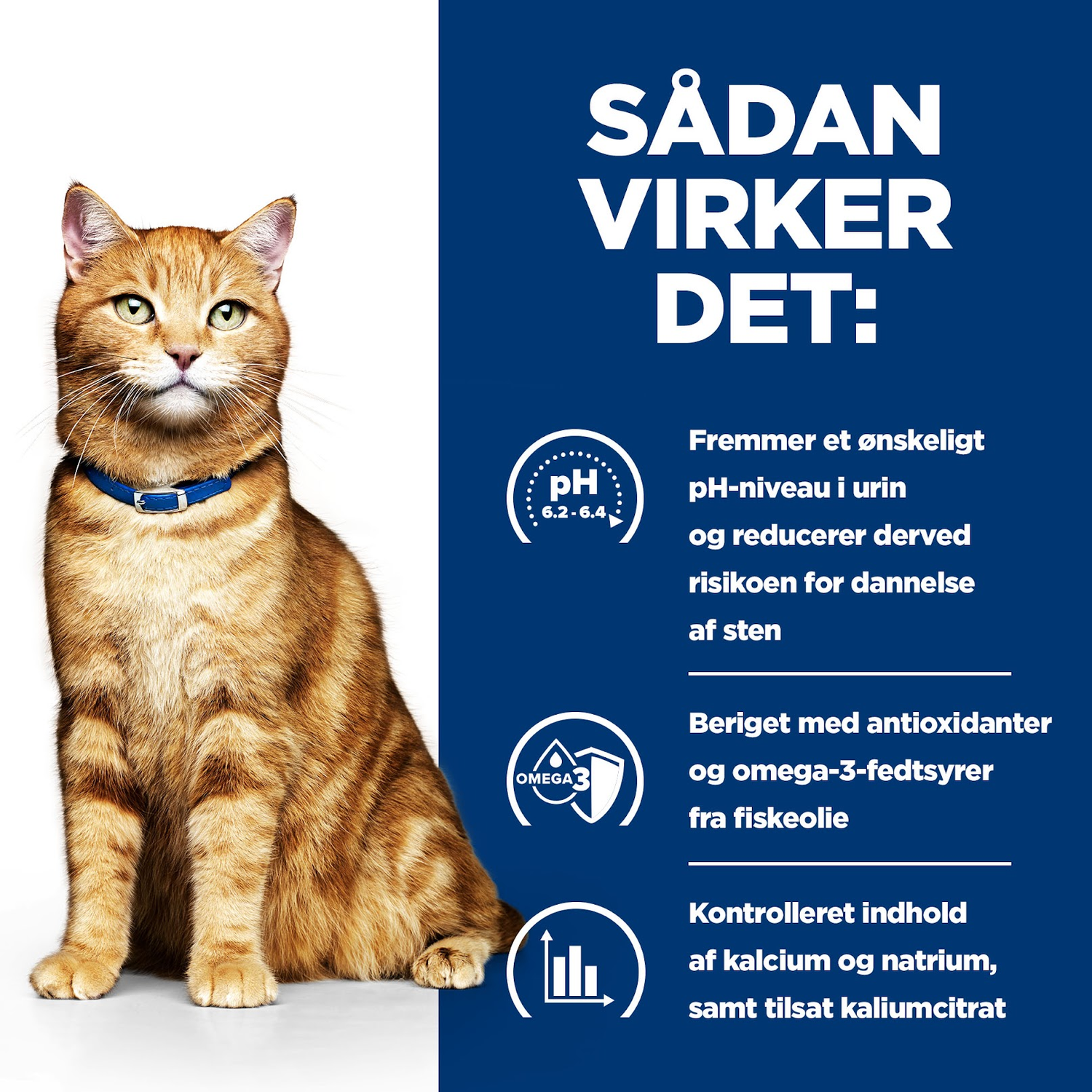 Hill’s Prescription Diet c/d Multicare Urinary Care Stew kattefoder med kylling & grøntsager