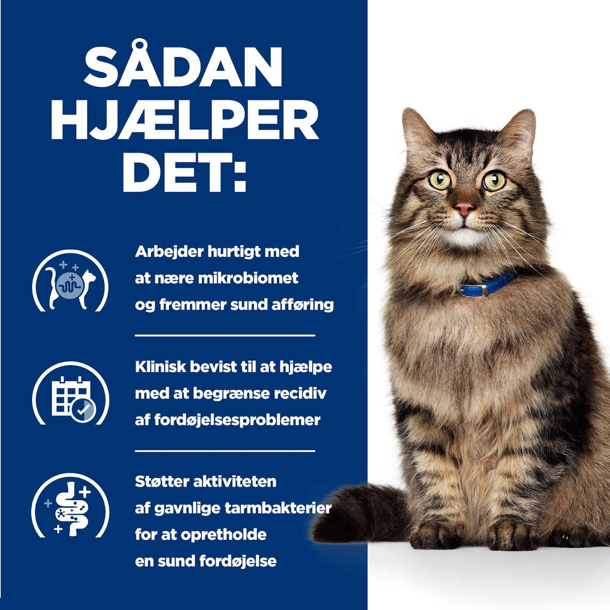 Hill's Prescription Diet GI Biome Stew - Fordøjelsesstøttende kattefoder med kylling