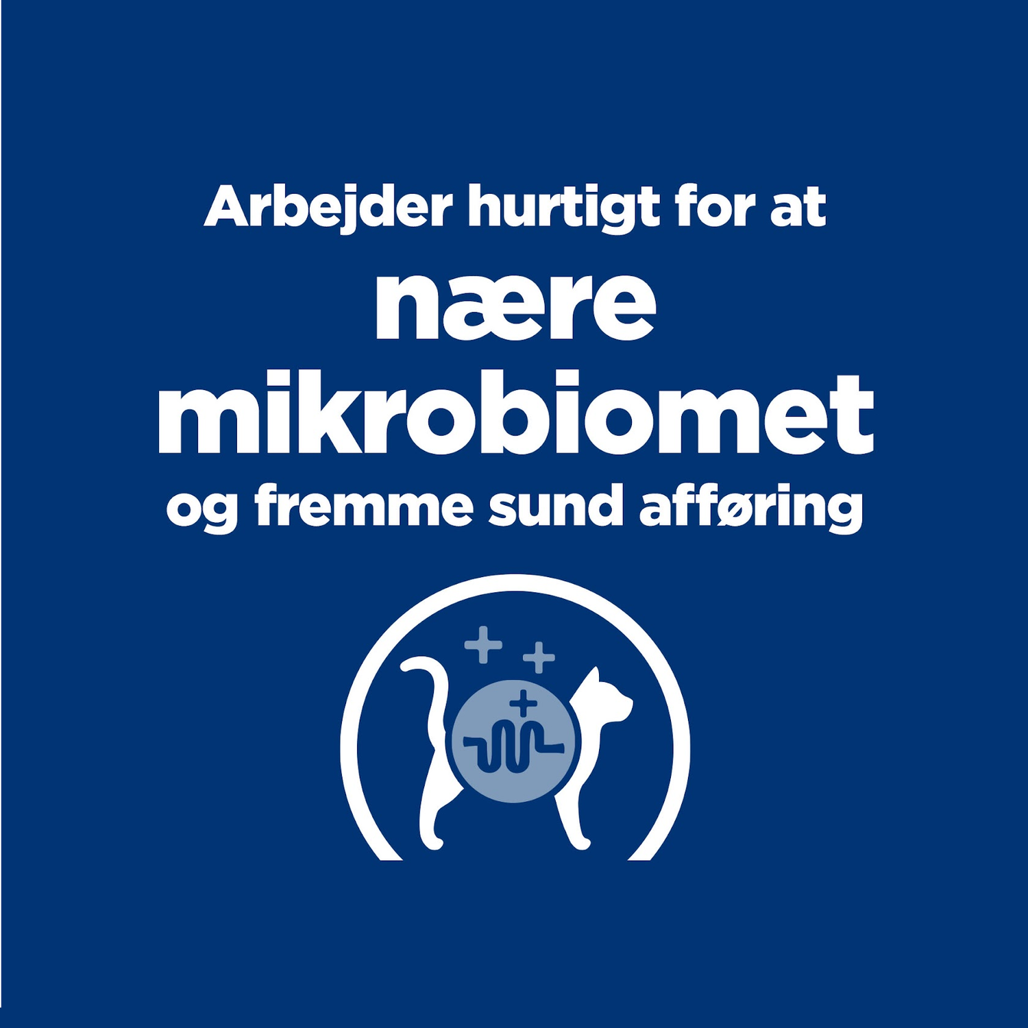 Hill's Prescription Diet GI Biome Stew - Fordøjelsesstøttende kattefoder med kylling