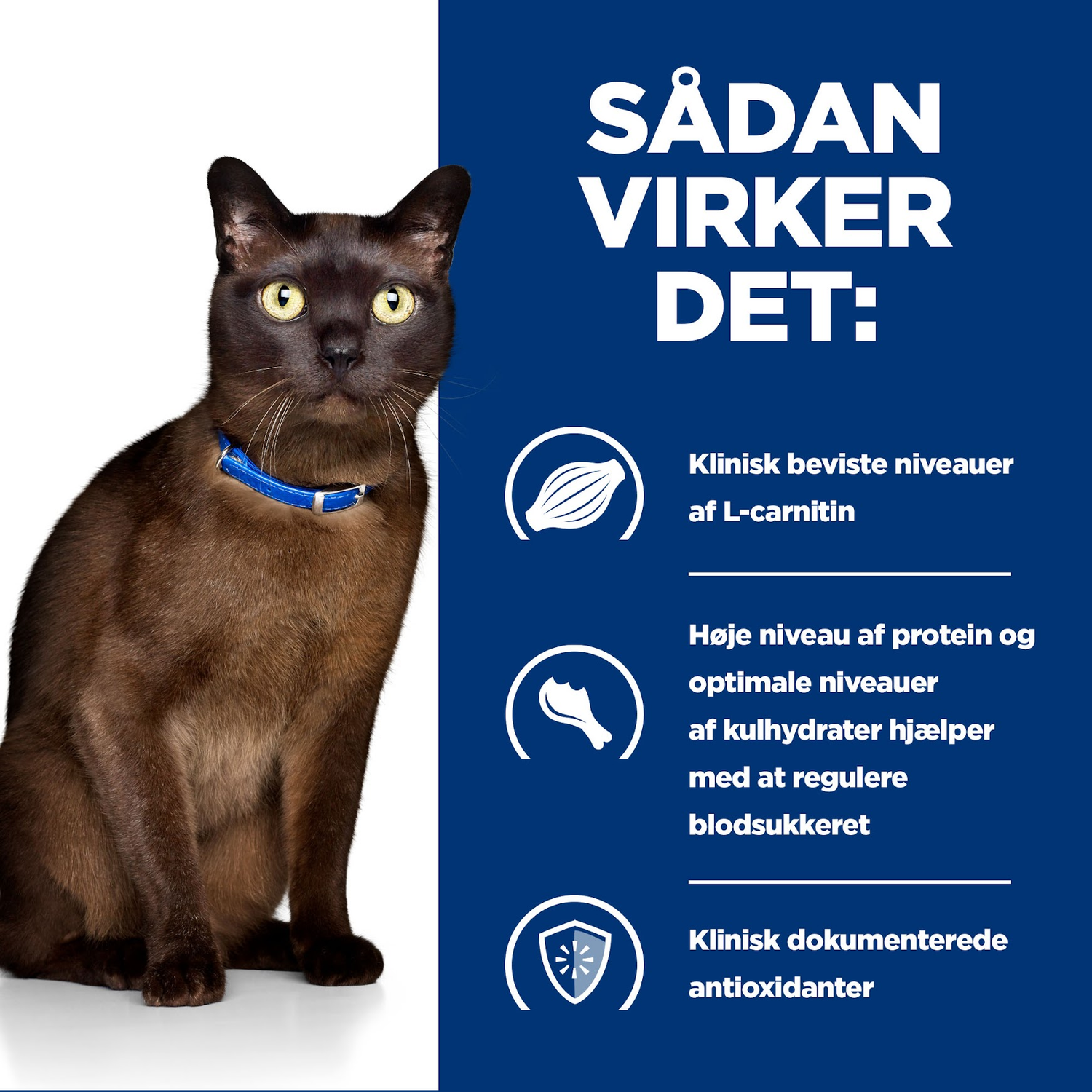Hill's PRESCRIPTION DIET m/d Diabetes Care vådfoder til katte med lever 156g dåse
