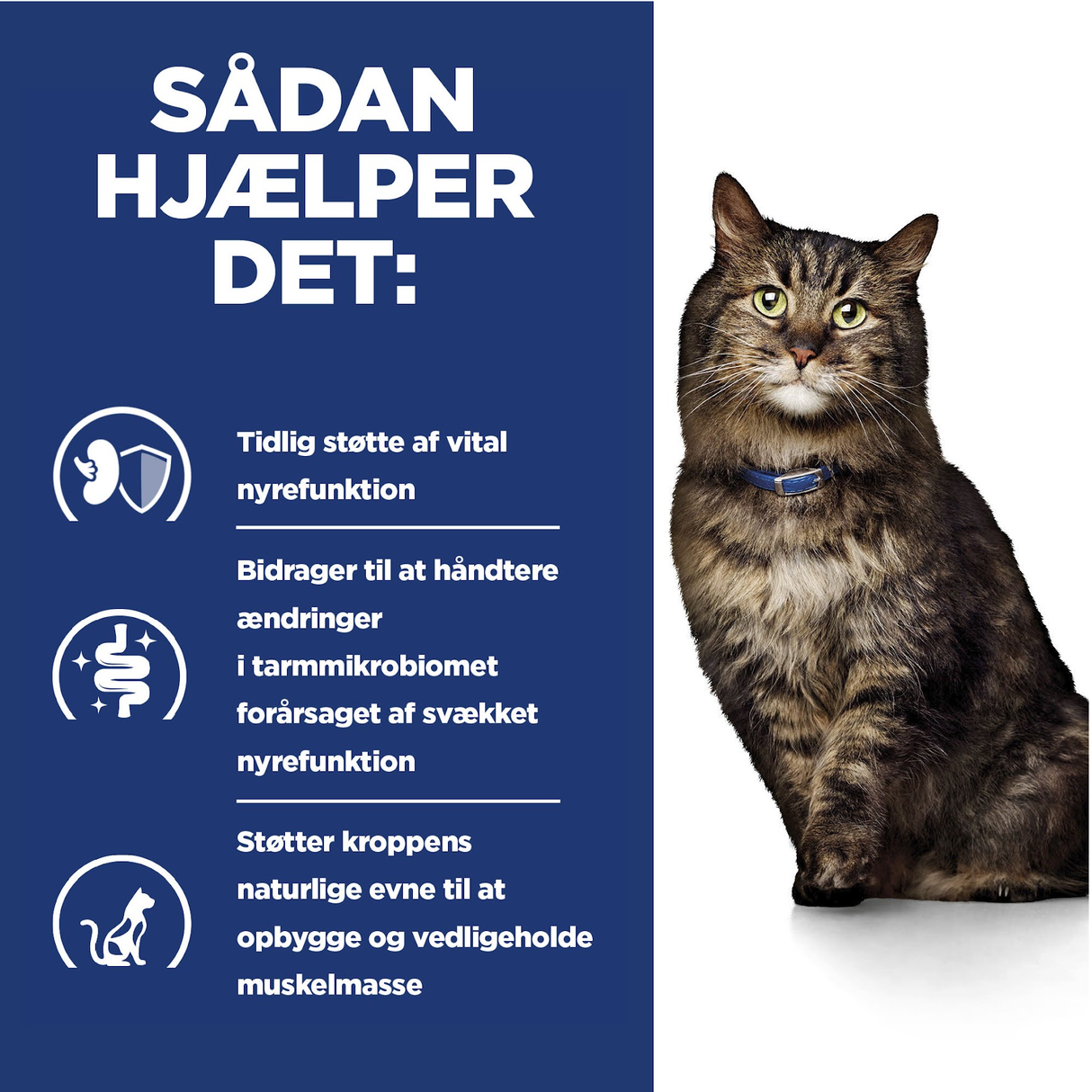 Hill’s PRESCRIPTION DIET k/d Early Stage vådfoder til katte med kylling - Nyrepleje i tidligt stadie