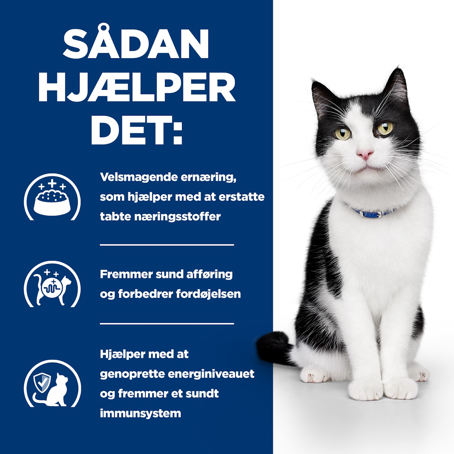 Hill's PRESCRIPTION DIET i/d Stew kattefoder med kylling & grøntsager