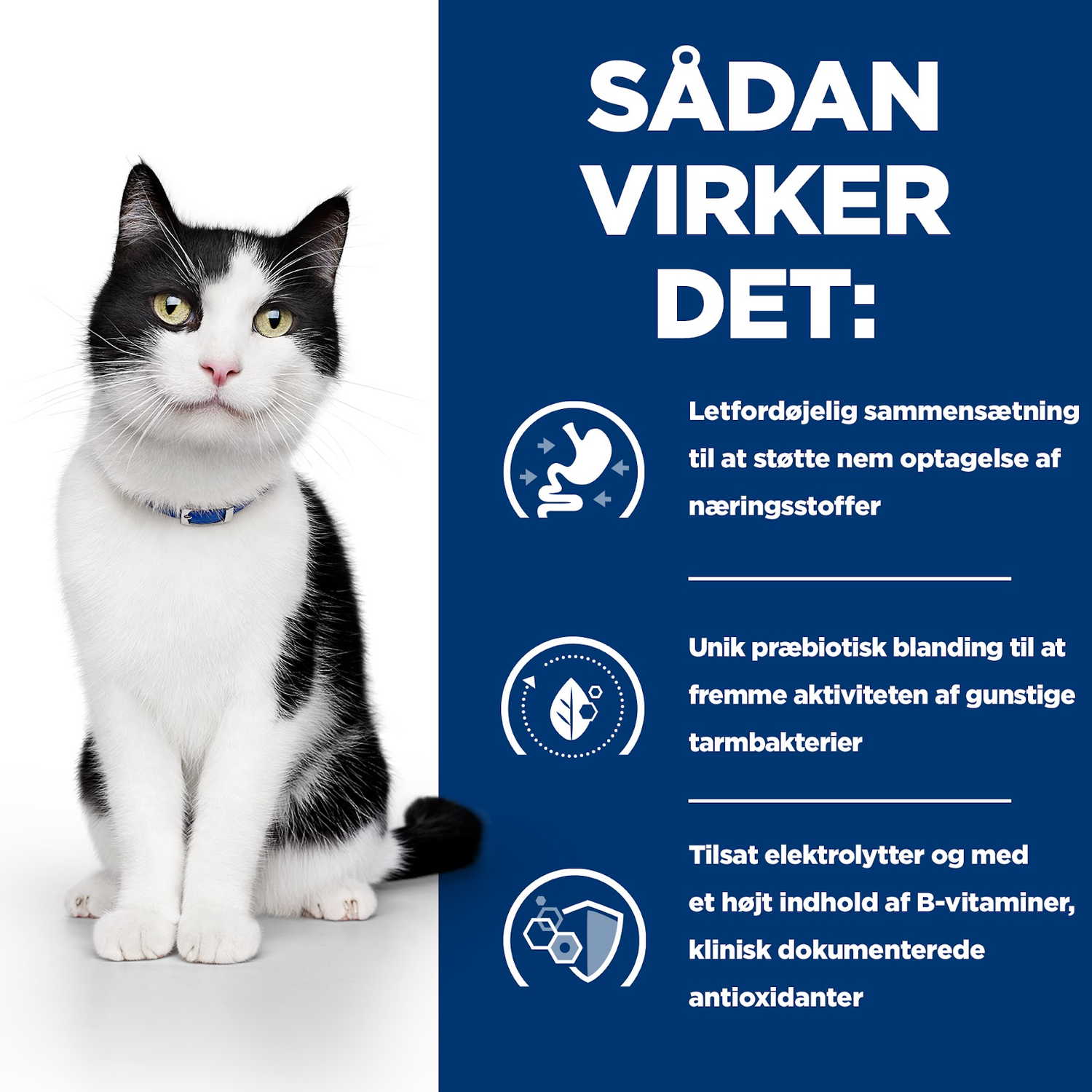 Hill's PRESCRIPTION DIET i/d Stew kattefoder med kylling & grøntsager