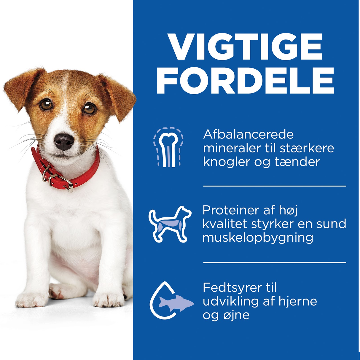 Hill's Science Plan hvalpefoder - Tørfoder til små hvalpe mellem 4mdr og 1 år med lam & ris