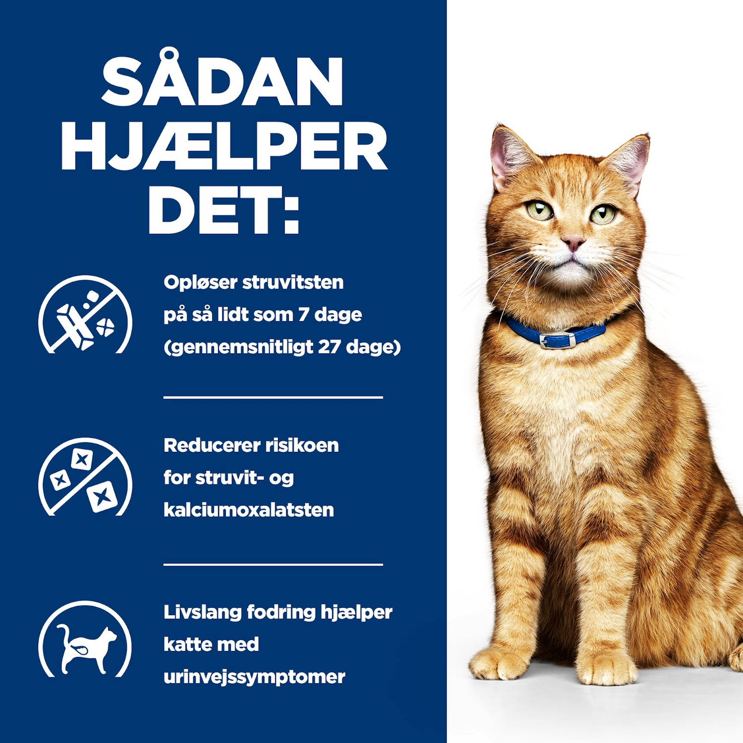 Hill's Prescription Diet c/d Multicare Urinary Care vådfoder til katte - Kylling eller Laks 12x85g