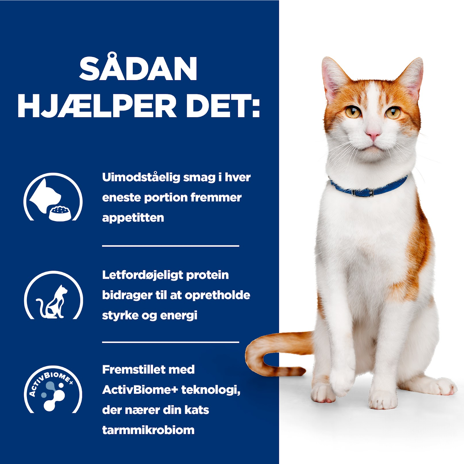 Hill's Prescription Diet On-Care stew til katte med kylling & grøntsager