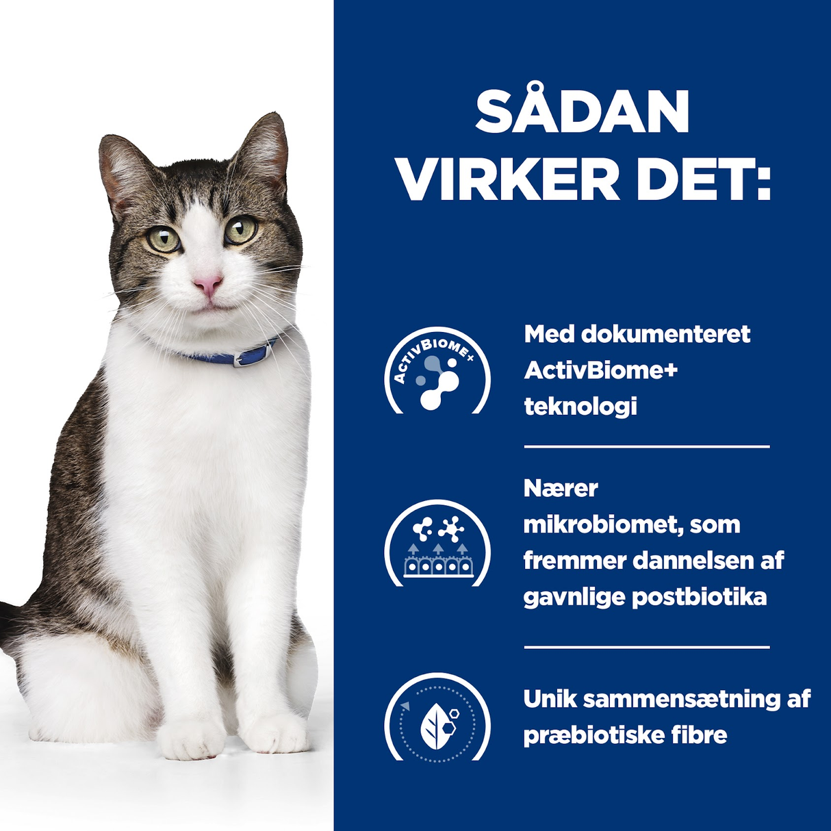 Hill's Prescription Diet Gastrointestinal Biome Stress Stew til katte med kylling og tilsatte grøntsager