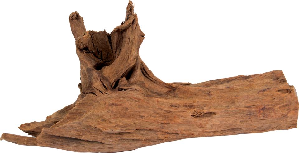 Trærødder til akvarier, Mangrove træ