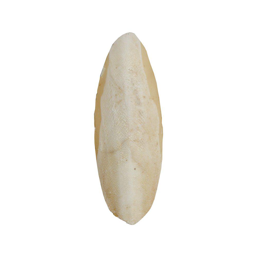 Sepia Skaller løs - til undulater, kanariefugle m.fl.