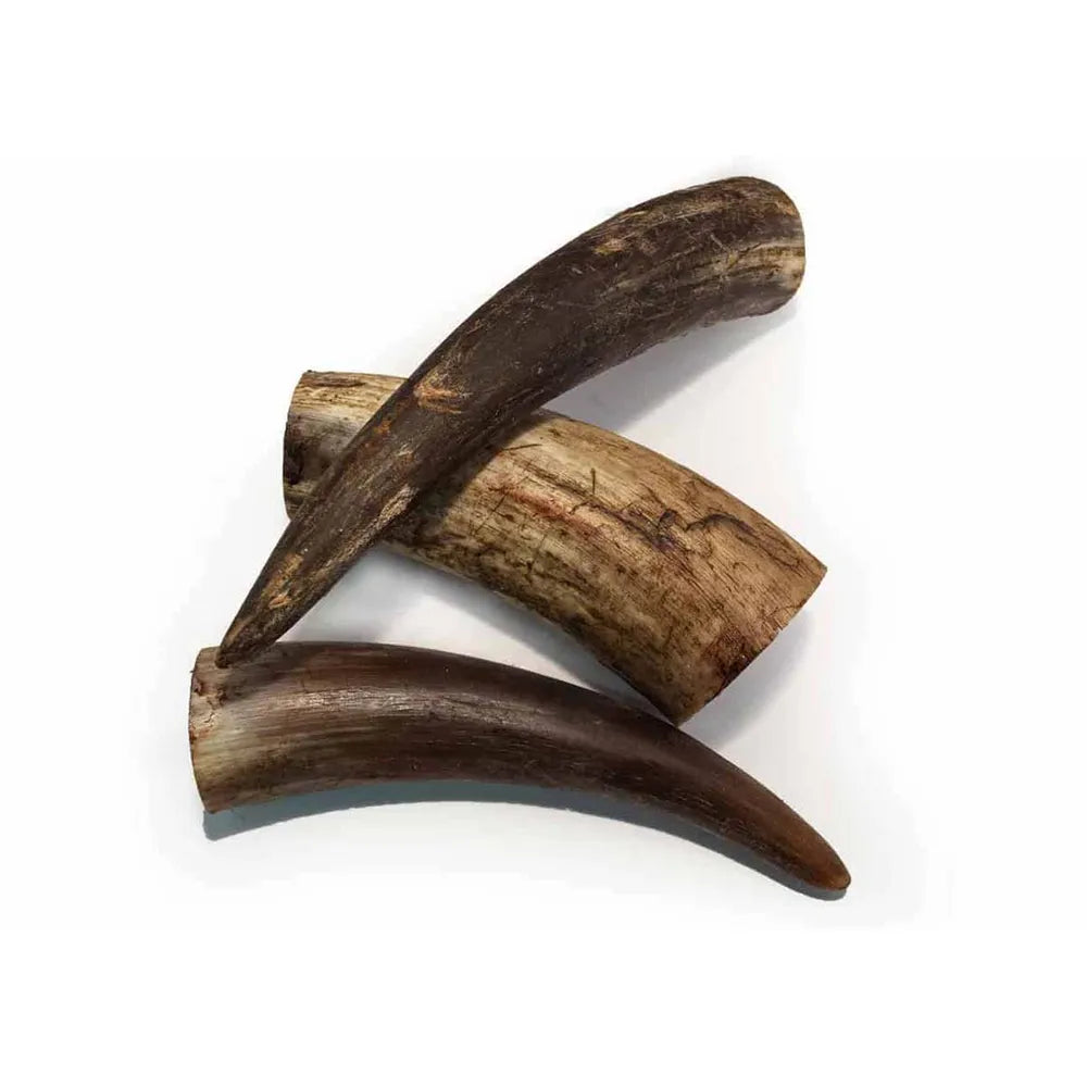 Kødben, Bøffelhorn - 100% Svensk