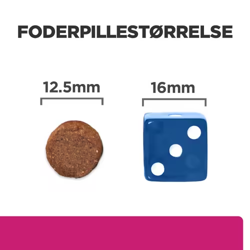 Et billede af en hund og en terning, der viser Hill's PRESCRIPTION DIET Gastrointestinal Biome tørfoder til hunde med kylling fra Hills Prescription Diet.