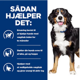 Sadans huelpfet - vægttab med Hill's PRESCRIPTION DIET Metabolic + Mobility Weight Management j/d tørfoder til hunde med kylling fra Hills Prescription Diet.