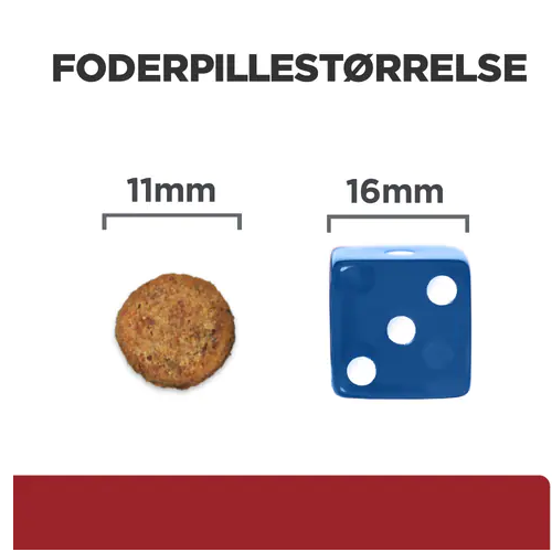 Et billede af en Hill's Prescription Diet i/d Digestive Care tørfoder til hunde med kylling cookie og en terning, der fremmer vigtigheden af fordøjelsessundhed.