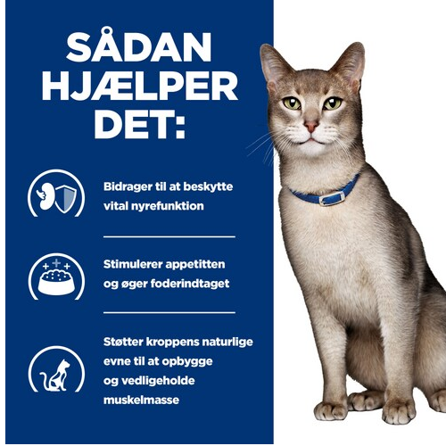 Hill's PRESCRIPTION DIET k/d Kidney Care tørfoder til katte med kylling eller tun