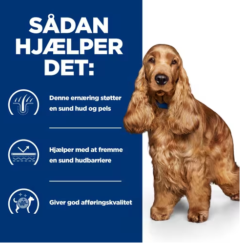En trist hund med madintolerance bliver hjulpet med Hills Prescription Diet z/d Food Sensitivities tørfoder til hunde.