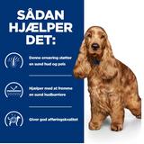 En trist hund med madintolerance bliver hjulpet med Hills Prescription Diet z/d Food Sensitivities tørfoder til hunde.