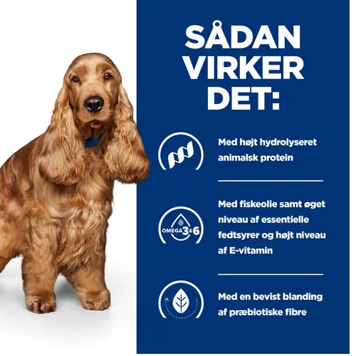 Sådan vikker Hills Prescription Diet z/d Food Sensitivities tørfoder til hunde for hunde med foderintolerance.