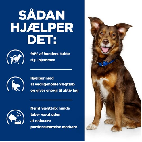 Hill’s Prescription Diet Metabolic Lam & Ris | Effektiv vægttab & vægtkontrol til hunde