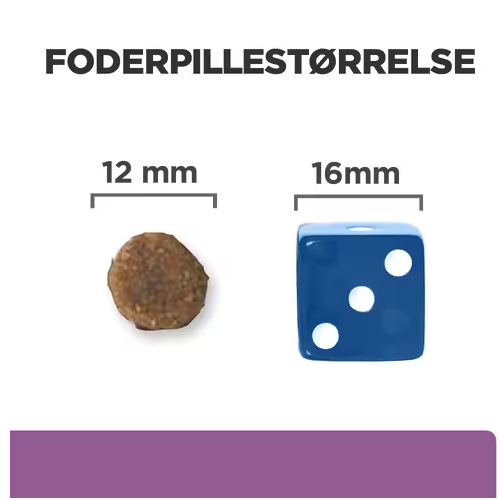 Et billede af en terning og en blå kugle med Hill's Prescription Diet b/d Brain Aging Care tørfoder med kylling - hundefoder til ældre hunde til ældre hundes hjernesundhed.