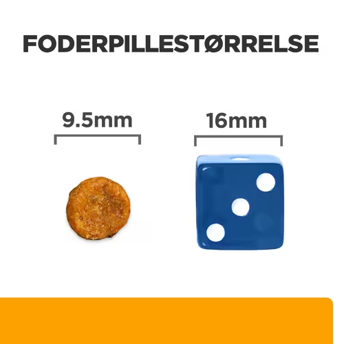 Hill's Prescription Diet c/d multicare kattemad med kylling. Til katte med urinvejsproblemer