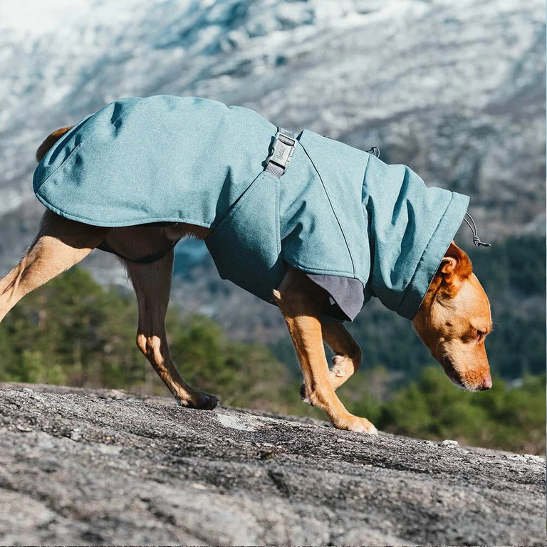 Hurtta Expedition Parka - Vinterdækken til Hunde i flere flotte farver