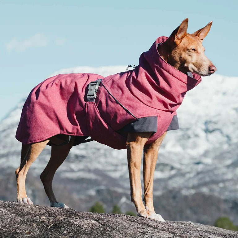 Hurtta Expedition Parka - Vinterdækken til Hunde i flere flotte farver