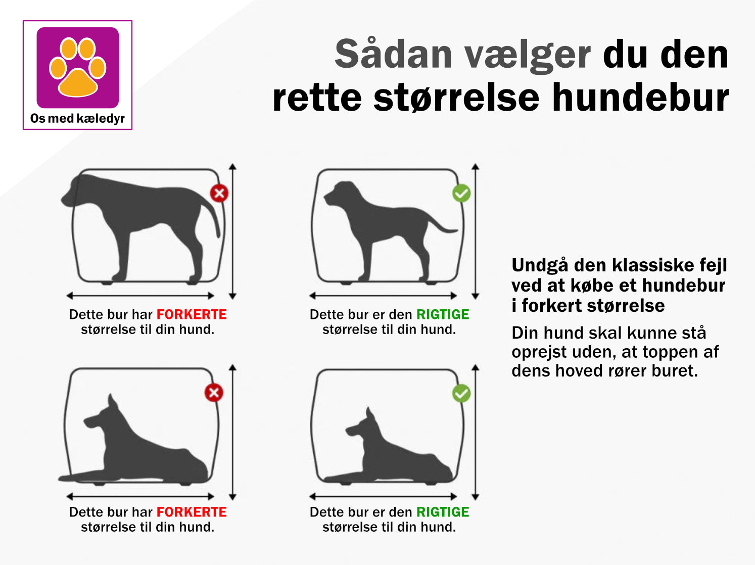 Transportkasse Skudo IATA - accepteret af de fleste flyselskaber