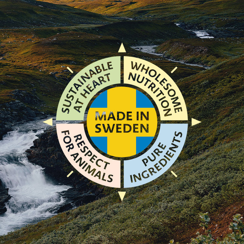 Bozita Grain Free Senior 8+ Laks - Kornfrit fuldfoder til ældre katte