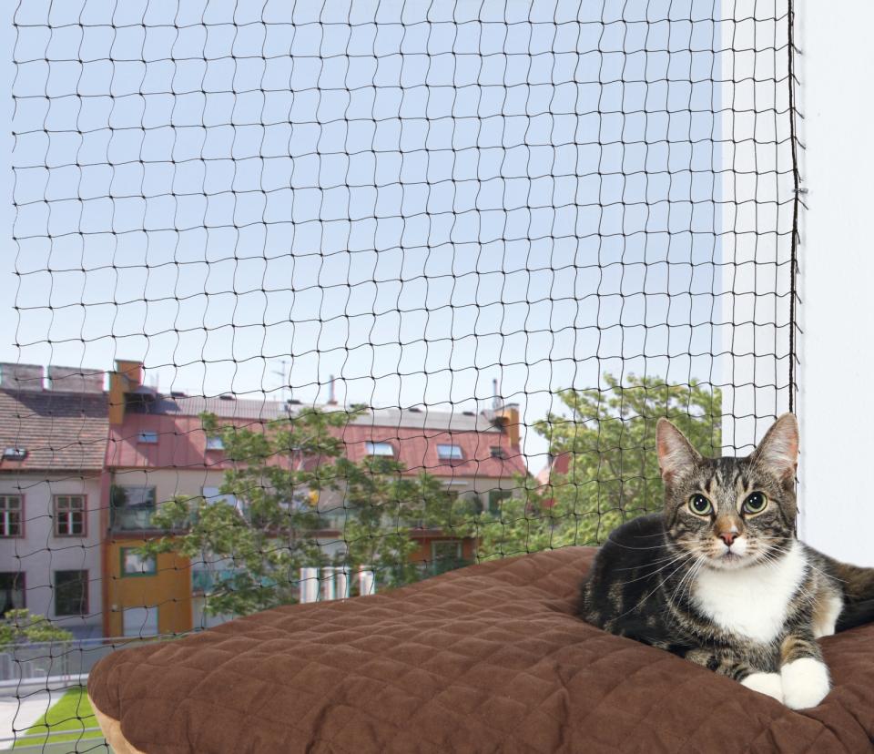 Beskyttelsesnet til Katte, sort