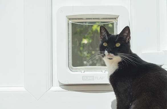 SureFlap Microchip Pet Door Connect kattelem og hundelem - Med mulighed for App!