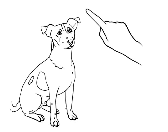 1. LYDIGHED OG FOKUS