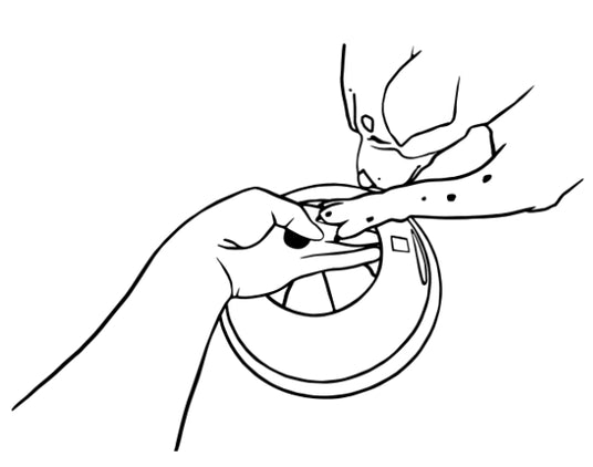 3. GIV POTE GENNEM ÅBNING PÅ PULSE