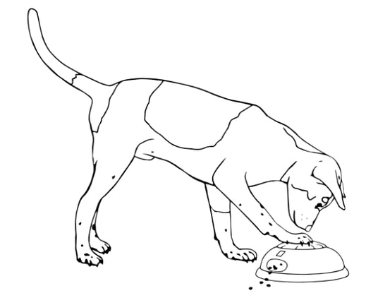 4. LÆR AT TRYKKE PÅ PULSE