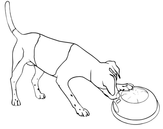 5. HURTIG LEG MED ÉN ENHED