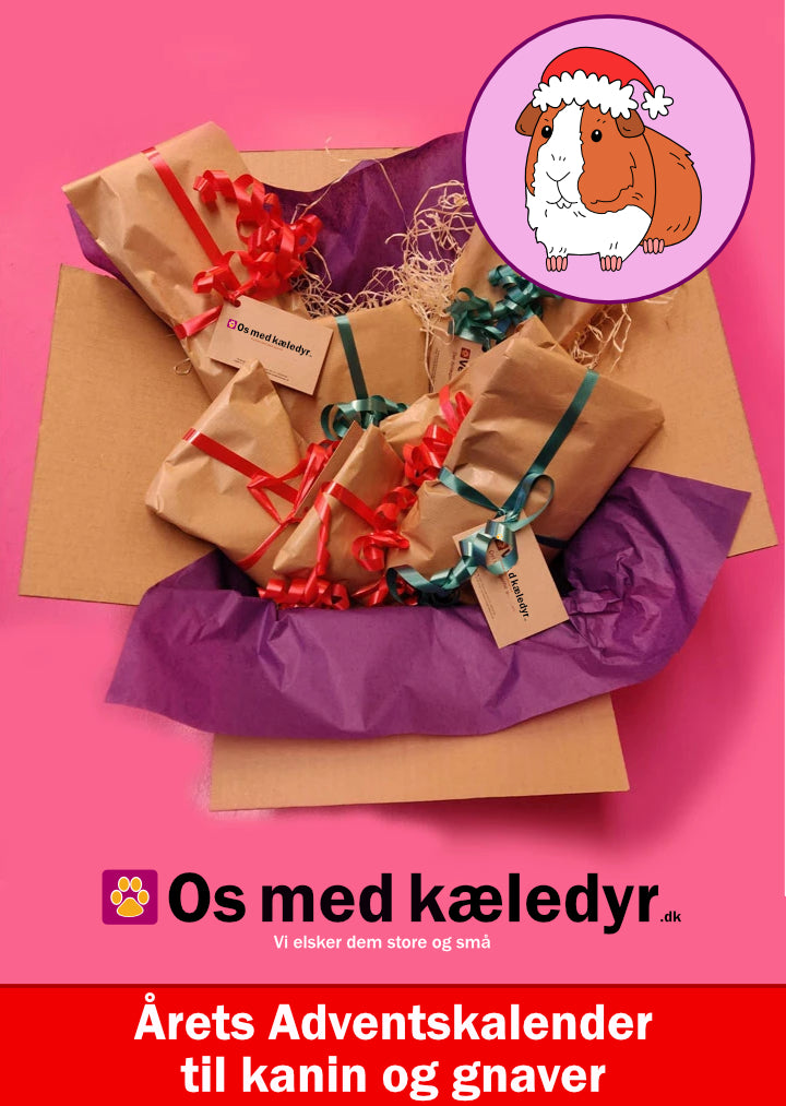 Årets Håndplukkede Adventskalender til din kanin / gnaver!