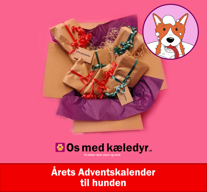 Årets Håndplukkede Adventskalender til hunden