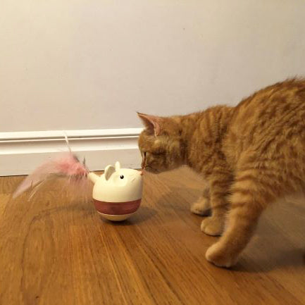 Aktivitet til katte, Nina Ottosson SWAT Treat Tumbler