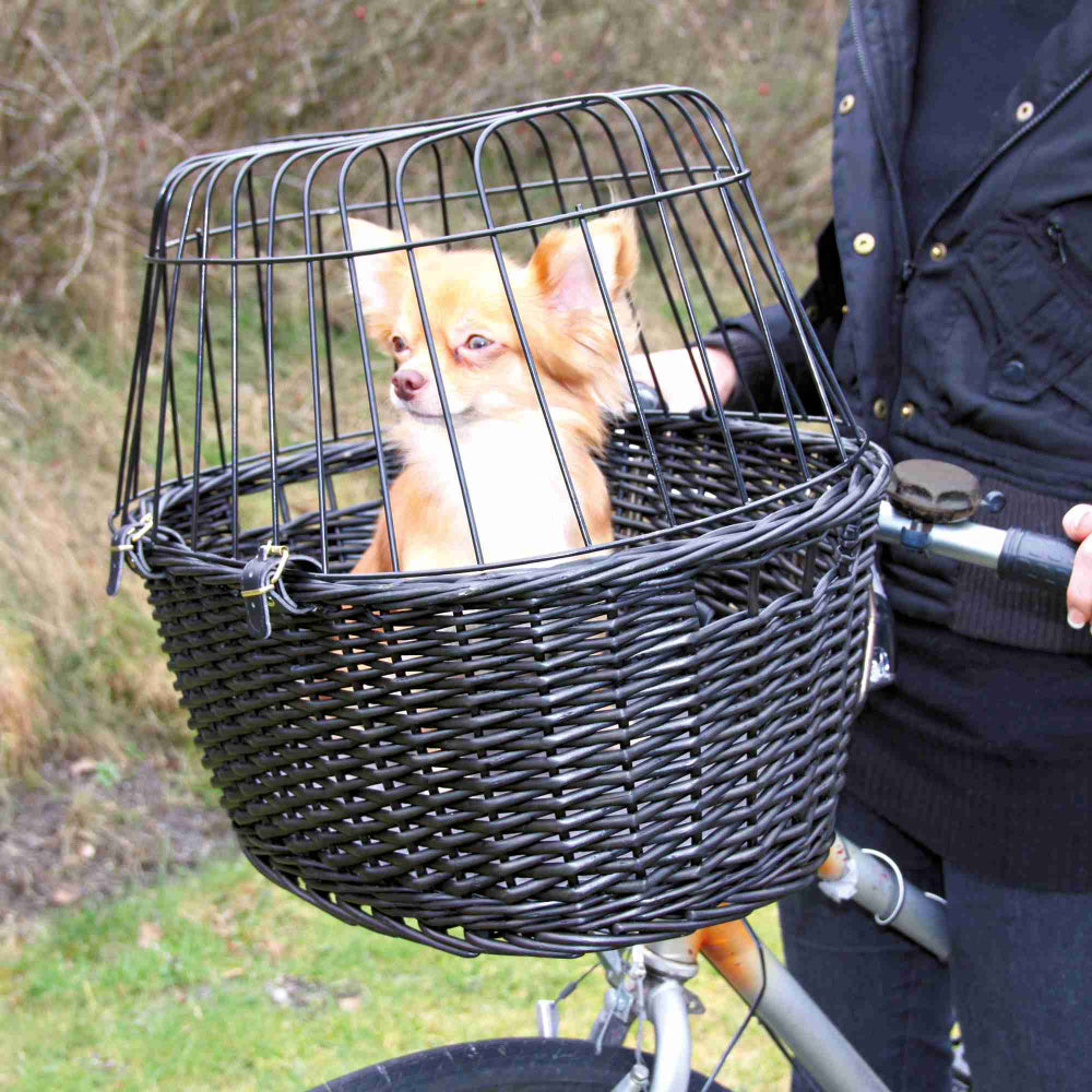 En kvinde, der kører på cykel med en hund i en Trixie Cykelkurv til styret, sorteringskurv.