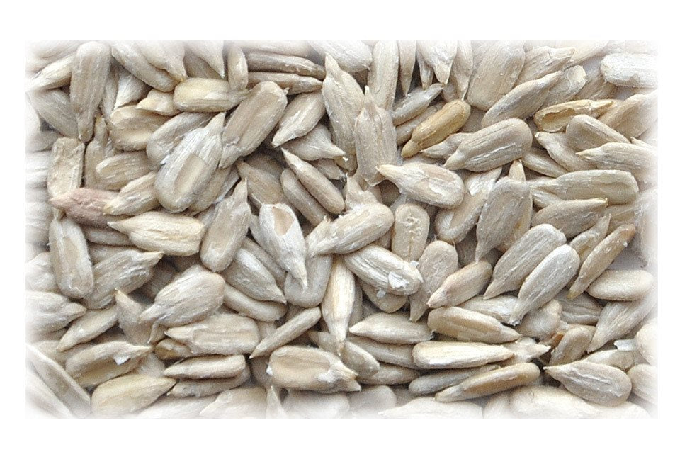 Bello Solsikkefrø uden skal, afskallede på en hvid baggrund.