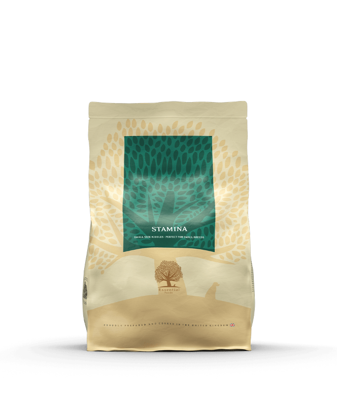 3kg Essential Stamina, kornfrit hundefoder til jagthunde eller undervægtige hunde
