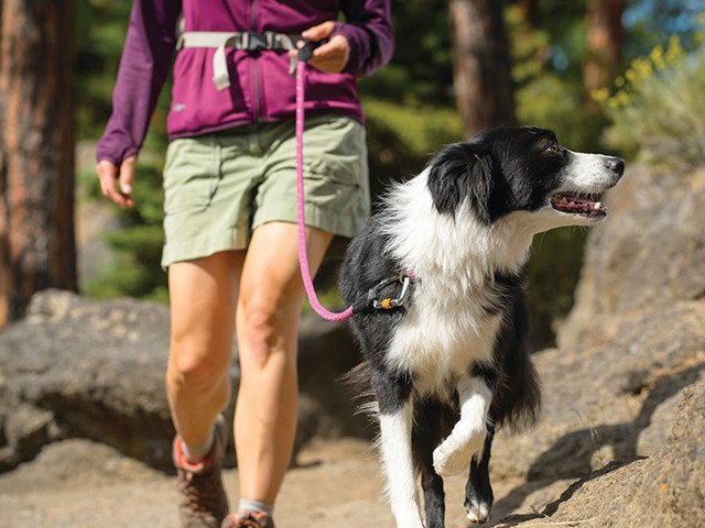 En kvinde, der nyder en fredelig gåtur med sin lodne ledsager på Ruffwears Ruffwear Hundeline, en robust og holdbar snor midt i skovens fredfyldte skønhed.
