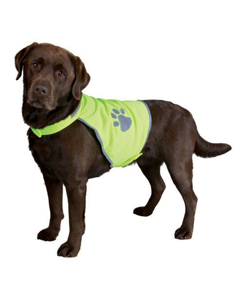 Ting til hunden - Sikkerhedsvest til hunde, 5 størrelser - Hvor kæledyr ville handle - Foderboxen.dk