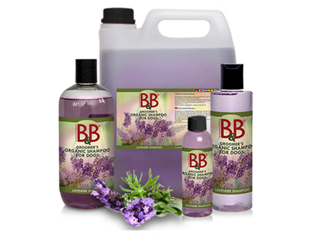 En flaske B&B økologisk hundeshampoo med Lavendel og en flaske balsam, perfekt til dem, der elsker økologiske produkter og den beroligende duft af lavendel.