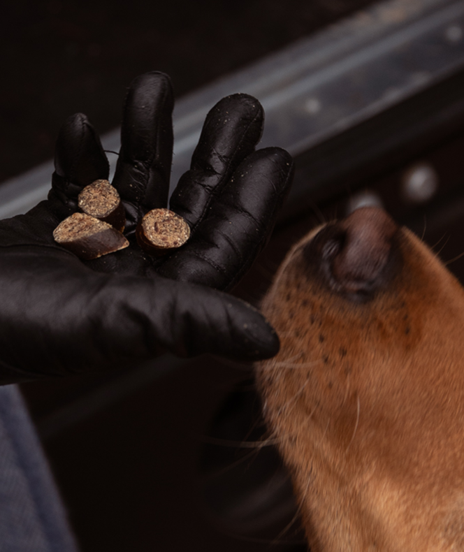 En person i sorte handsker holder ømt om en hunds pote, mens han fodrer den ESSENTIAL fineste skiver vildt & and (hjort & og) som Essential luksus godbidder.
